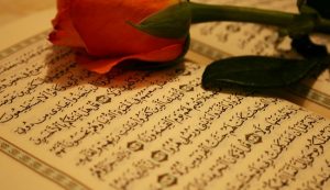 میثاق با نور، تدبر در قرآن