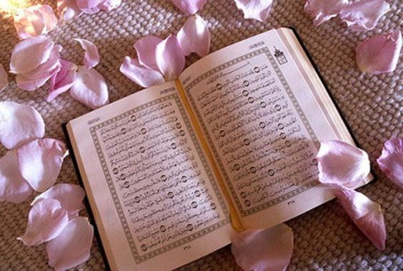 تدبر در قرآن، میثاق با نور