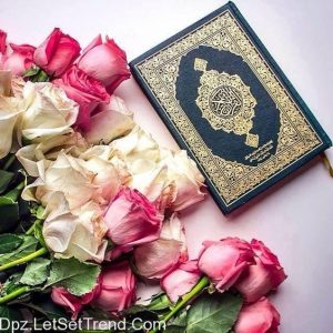 تدبر در قرآن، میثاق با نور