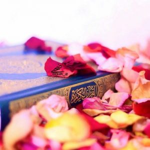 تدبر در قرآن ، میثاق با نور
