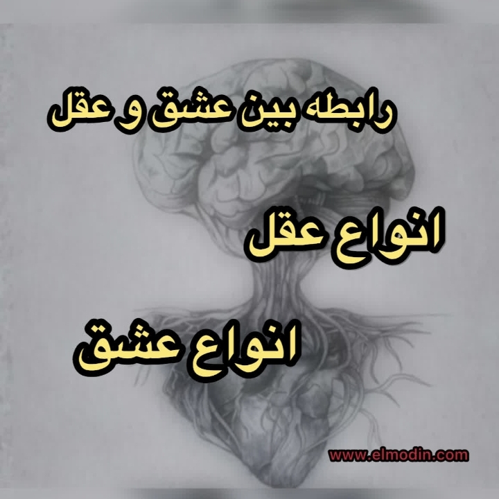 تفاوت راه‌حل رفع مشکلات بیرون از نفس و درون نفس   ۱۴۰۲/۰۵/۱۷