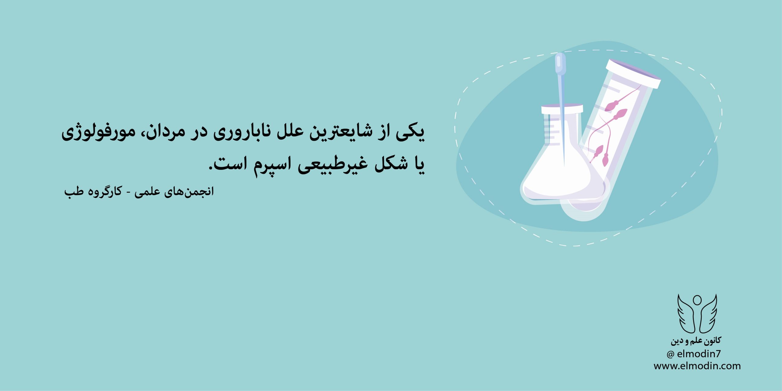 بیماری مورفولوژی، یکی از شایع ترین علل ناباروری